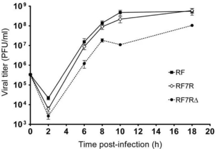 Figure 8. Competitive experiments between reassortant RF7R D and wt-RF viruses at an MOI ratio of 1:10 7 