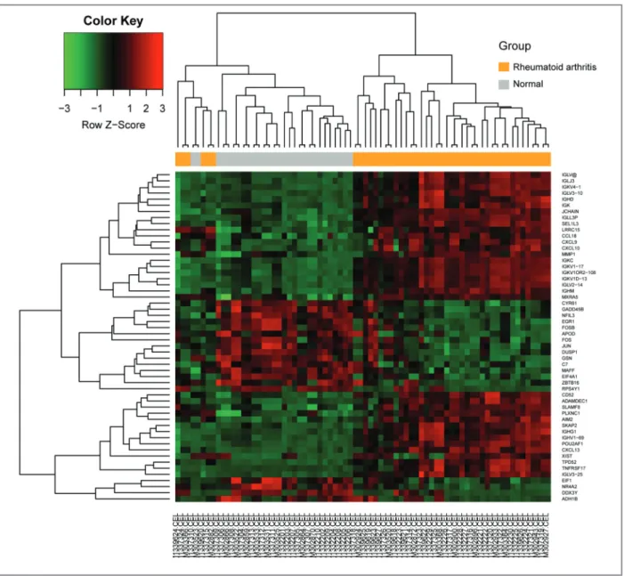 FIgure 2. Heat map showing up-regulated and down-regulated differentially expressed genes in rheumatoid arthritis compared to the normal samples
