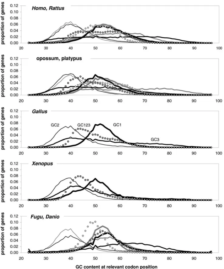 Figure 9. Coding-region GC content in vertebrates. The distribution of the GC content at the three codon positions in vertebrate genes.