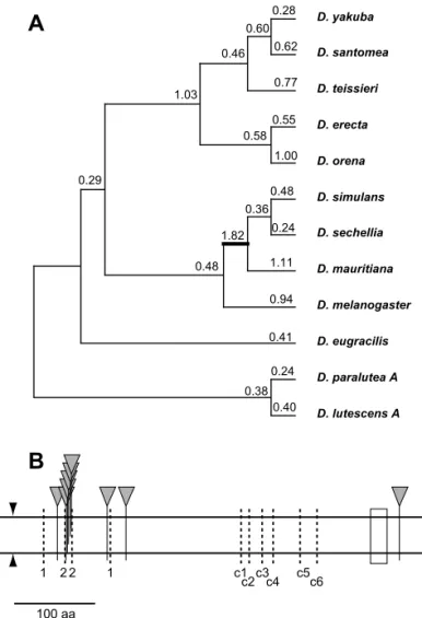 Figure 8. PAML Analyses of Iris Evolution