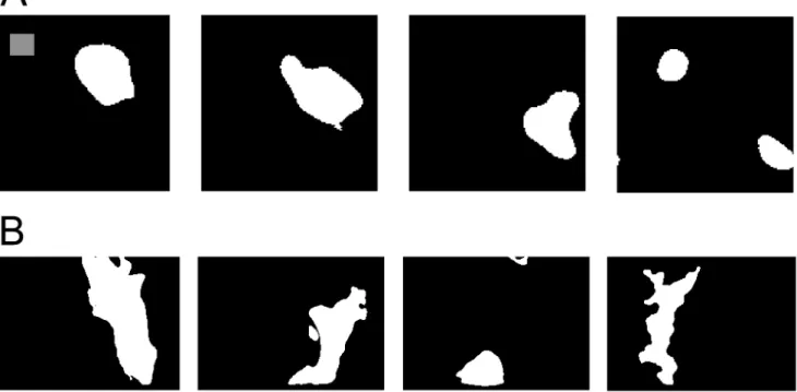 Figure 3 depicts the responses of the first 25 SFA units as a function of orientation and phase of the input sinusoidal grating, which we refer to as orientation/phase-dependent response
