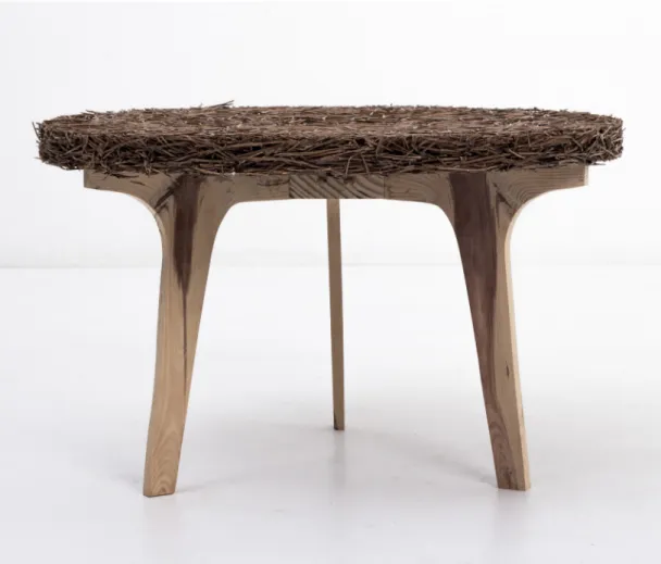Fig. 50 Mesa Pinheiro.