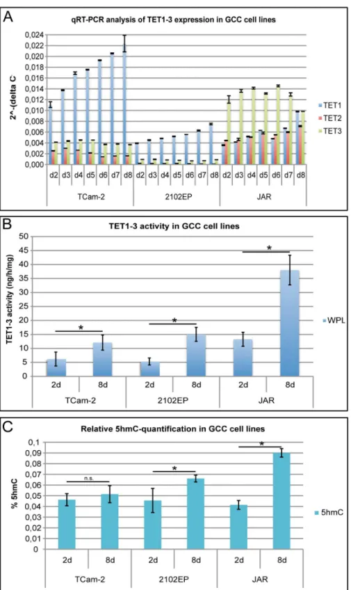 Figure 4. Analysis of TET expression/activity in three GCC cell lines. A) qRT-PCR analysis of TET1 -3 expression during 2–8 days of in vitro cultivation of TCam-2, 2102EP and JAR cells