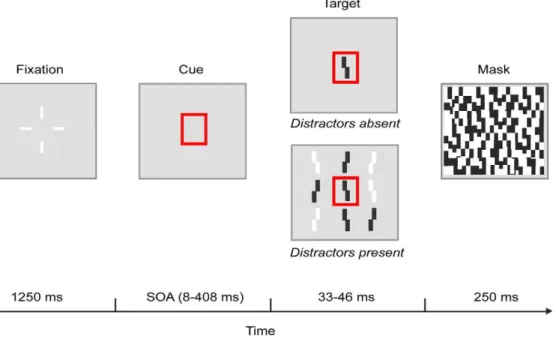 Figure 1. An outline of the task used in all experiments. The proportions are not drawn to scale