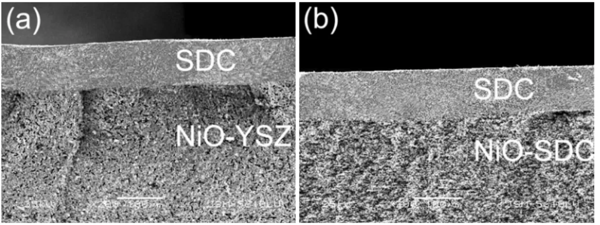 Fig. 6. SEM of cross section of anode-supported SDC film electrolyte 
