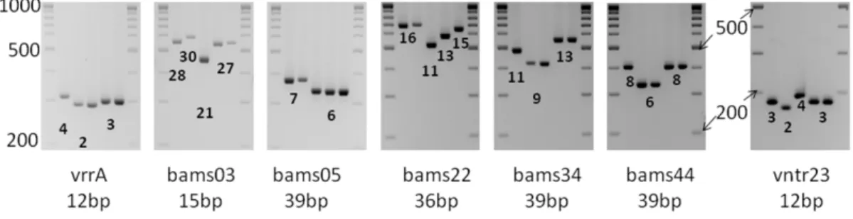 Figure 5. Comparison of the diversity index (DI) of individual loci in the ‘‘France’’ versus ‘‘Namibia’’ datasets.