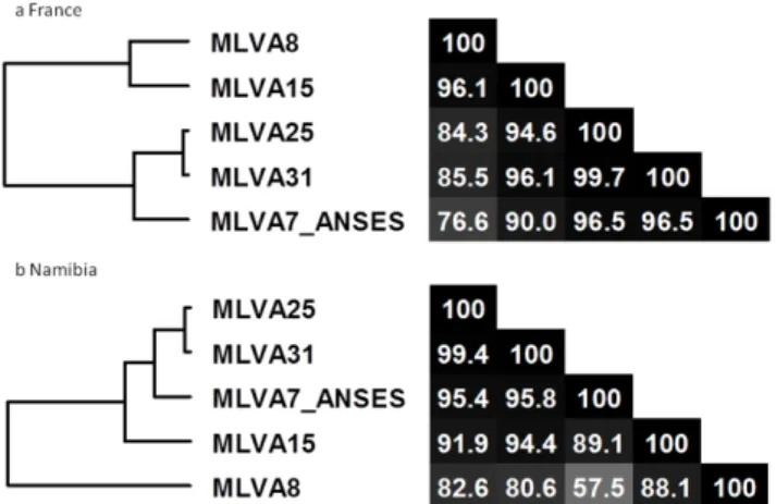Figure 6. Congruence analysis of 5 sets of VNTR markers: