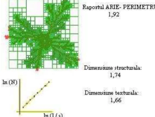 Fig. 3. Illustration of image analysis  for the box-counting algorithm.   