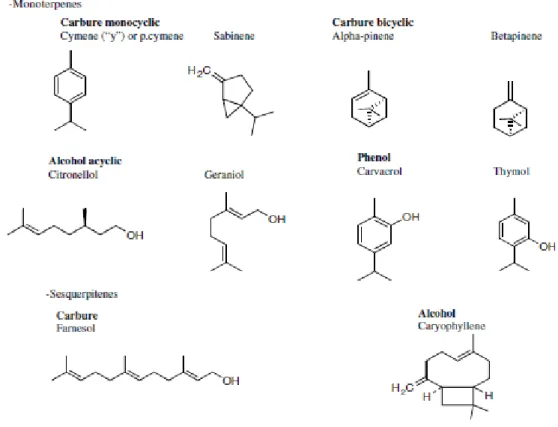Figure  1.1.3.1  –  Chemical  structures  of  terpenoids  (selected  compounds  of  essential  oils)