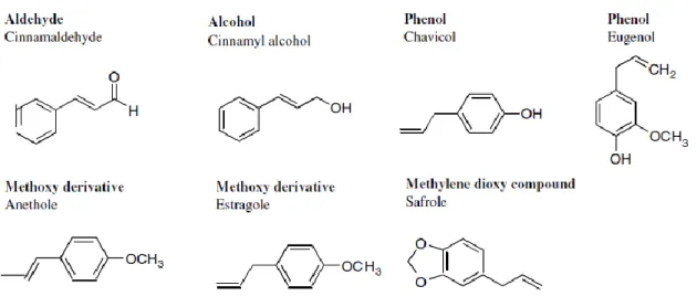Figure  1.1.3.3  –  Chemical  structures  of  non-terpenoids  compounds  (selected  compounds  of  essential oils) (modified after Bakkali et al