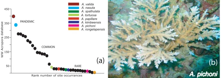 Figure 1. (a). Global abundance of the Acropora species used in this study. These data are based on numbers of records in the World Wide Acropora Database (n = 1523 sites; [6] and Wallace unpublished)