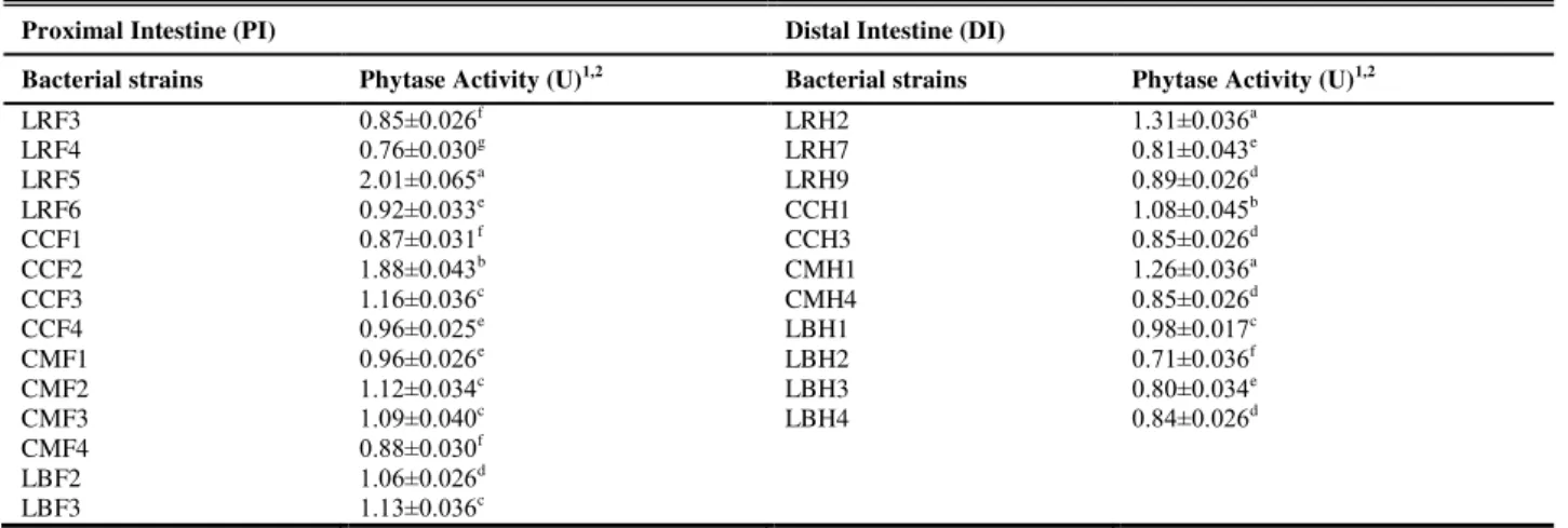 Table 2 Quantitative phytase activity of the bacterial strains isolated from the four fishes 