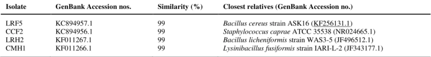 Table 3 16S rDNA identification of the four selected bacterial strains 