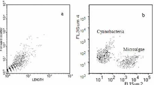 Fig. 2. Representative real time cytograms of CytoBuoy flow cytometry. In (a) all suspended particles according to its length and forward scatter showing well defined groups of small  par-ticles becoming rare and spreaded