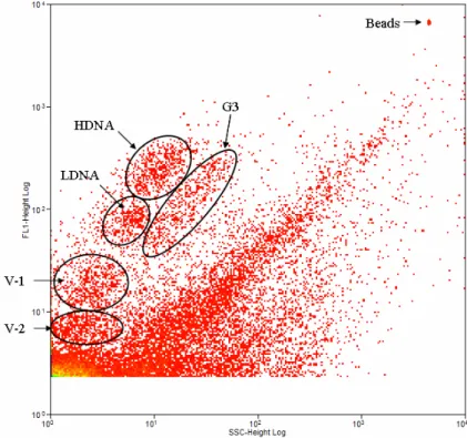 Fig. 3. One of the FACScan cytograms of upwelled waters after SYBR Green I nucleic acid staining and 0.92 µm beads addition