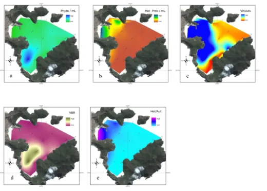 Fig. 5. Spatial distribution of the studied variables measured by flow cytometry within the Anjos Bay