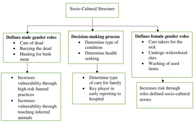 Fig 2. Socio-cultural practices and its influence on EVD-related risk.