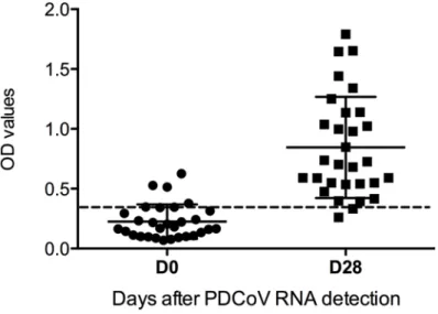 Fig 2. Distribution of serum anti-PDCoV IgG antibodies during an acute outbreak and four weeks later