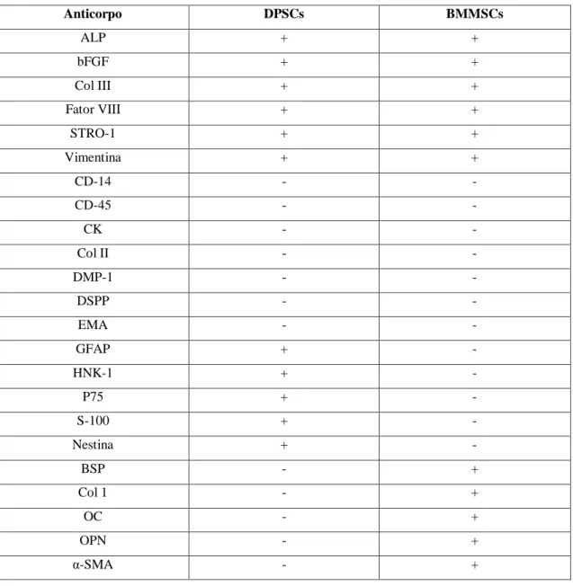 Tabela 3: Tabela-Resumo do Imunofenótipo das DPSCs e BMSSCs [Adaptado de Yu et al., 2007]