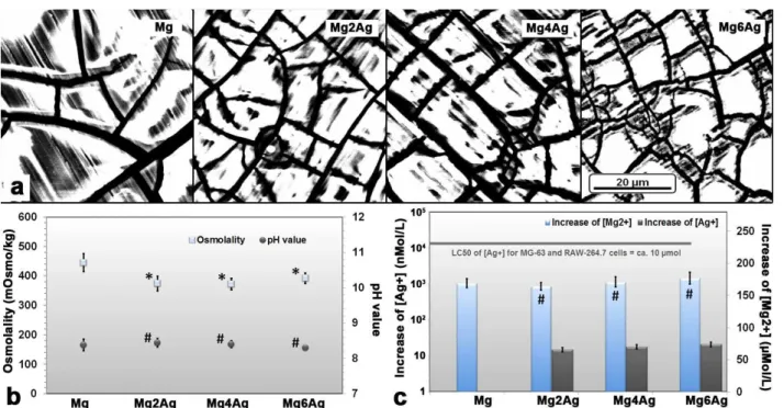 Fig. 6. Overview of the specimen after the immersion test. (a) SEM (BSD) images of the T4 treated samples immersed  in DMEM with 10 % FBS, 5 % CO 2  and at 37 °C (cell culture conditions) for 72 h