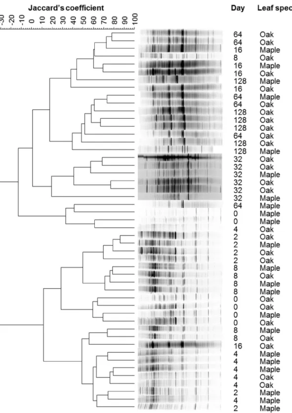 Fig 4. Dendrogram of ribosomal intergenic spacer analysis (RISA) electropherograms displaying bacterial assemblage similarities calculated using Ward ’ s method based on Jaccard ’ s similarity coefficient.