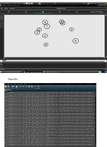 Figure 6.1: NAM functionality 