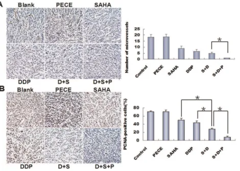 Figure 5. SAHA-DDP/PECE inhibited cell proliferation and intratumoral angiogenesis in vivo