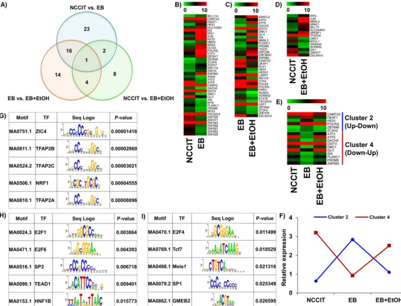 Fig 4. Distribution of all TF-encoding genes that are altered by ethanol. A) Venn diagram representing the overall distribution of all differentially expressed TF-encoding genes