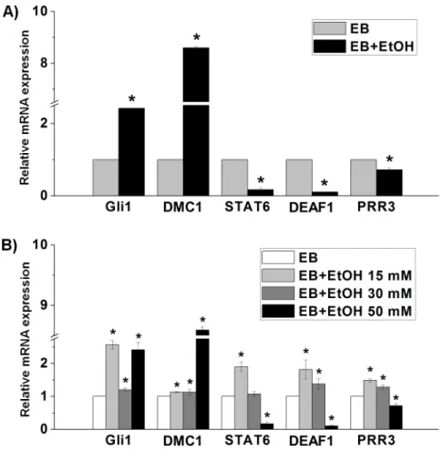 Fig 5. Confirmation of differential gene expression via qRT-PCR analysis. A) Validation of the relative mRNA expression of the TF-encoding genes that are randomly selected from the listed 35 genes found in EB vs