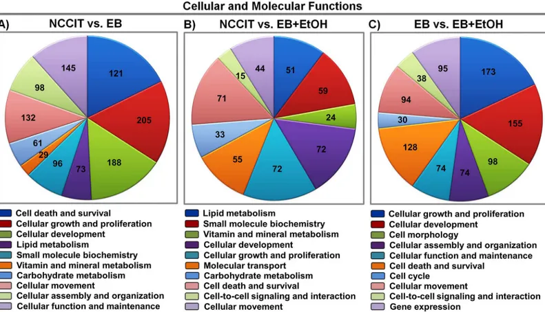 Fig 2. Functional enrichment analysis of differentially expressed genes. A). B) and C) represent Pie charts of cellular and molecular functions of the DEGs (top 10 categories; p-values < 0.05) between NCCIT vs