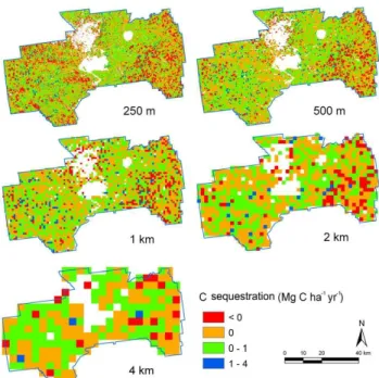 Fig. 6. The distributions of carbon sequestration between 1992 and 2007 for five spatial resolutions