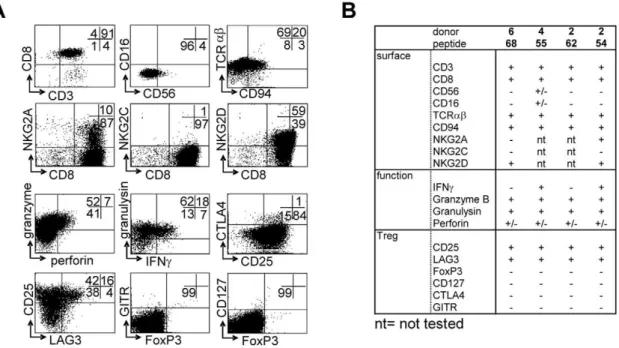 Figure 3. Surface-, functional- and Treg marker- phenotypes of predicted HLA-E binding peptide specific T-cell lines