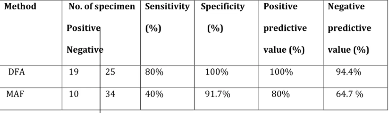 Table 1. Comparison of DFA and MAF for Cryptosporidium oocysts 