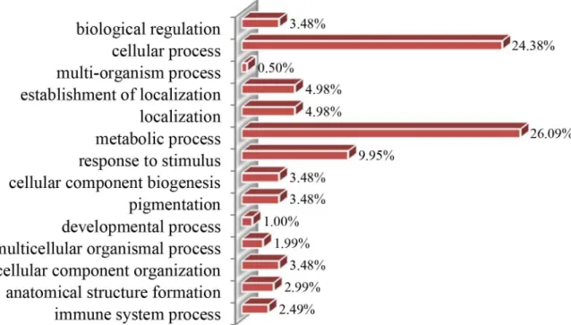 Fig 5. Biological process classification of differentially accumulated proteins during grain development.