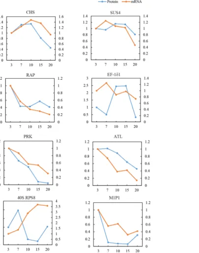 Fig 7. Comparative analysis of protein and mRNA profiles of 8 representative metabolic proteins