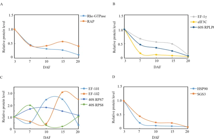 Fig 8. Relative expression patterns of signal transduction, as well as gene expression regulation proteins during grain development.