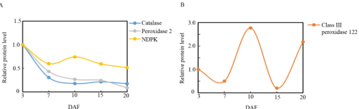 Fig 9. Relative expression patterns of redox homeostasis proteins during grain development