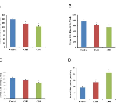 Fig 4. Effect of diquat on serum antioxidant enzymes activities and MDA content. (A) Activity of T-SOD in mouse serum