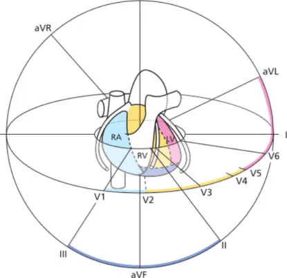 Figura 2.6. Visualiza¸ c˜ ao gr´ afica de cada deriva¸ c˜ ao do eixo card´ıaco, incluindo as deriva¸c˜ oes frontal e horizontal