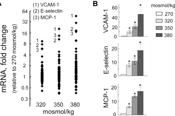 Fig 1. Elevation of extracellular NaCl increases expression of pro-inflammatory mediators in endothelial cells