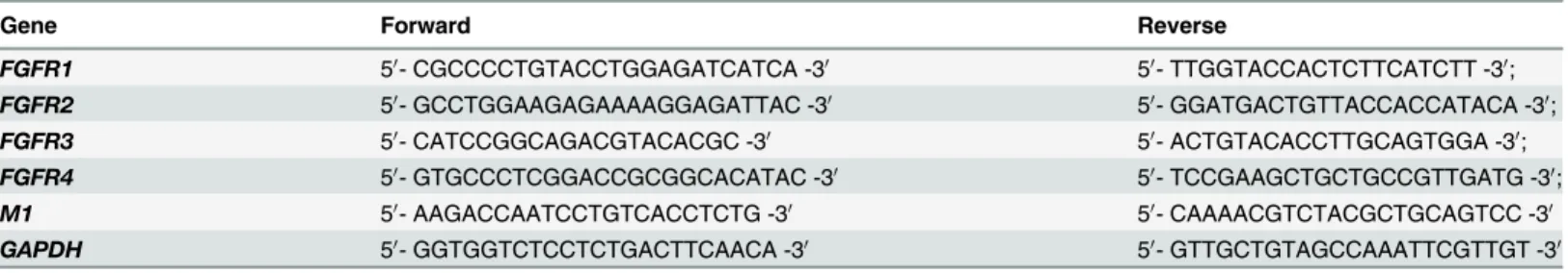 Table 1. Primer pairs used for real-time PCR.