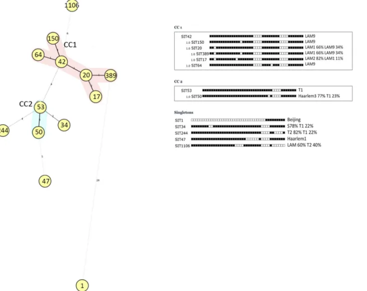 Fig 1. Phylogenetic analysis using the MIRU-VNTR-plus software (http://www.MIRU-VNTRplus.org) [39–40] for spoligotype patterns of the “major subgroup ” of 339 cases, 62.0% (339/547), attributed to predominant M
