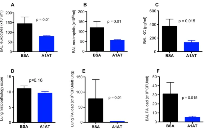 Fig 3. Effects of alpha1 antitrypsin (A1AT) on lung inflammation and Pseudomonas aeruginosa (PA) load in ENaC transgenic mice after 3 days of infection