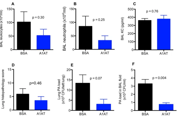 Fig 5. Effects of alpha1 antitrypsin (A1AT) on lung inflammation and Pseudomonas aeruginosa (PA) load in wild-type mice after 3 days of infection