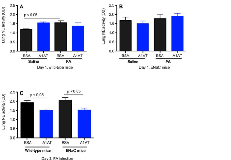 Fig 6. Effects of alpha1 antitrypsin (A1AT) on neutrophil elastase (NE) activity in the lung