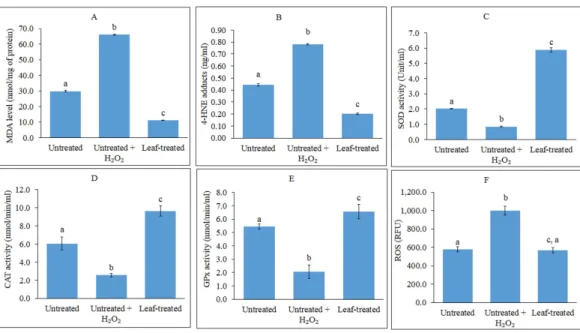 Figure 1 Analyses of lipid peroxidation, antioxidant enzymes and ROS. (A–F): Analyses of lipid peroxi- peroxi-dation, antioxidant enzymes and reactive oxygen species (ROS) in untreated, untreated + H 2 O 2 -induced and leaf-pre-treated + H 2 O 2 -induced H