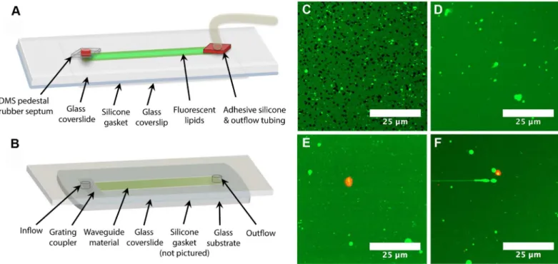 Fig 5. Assay performance inside flow cells. Schematics of (A) imaging flow cell and (B) waveguide flow cell