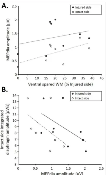 Fig 4. Correlations among MEPdia amplitude, extent of injury, and contralateral diaphragm activity at 7d P.I