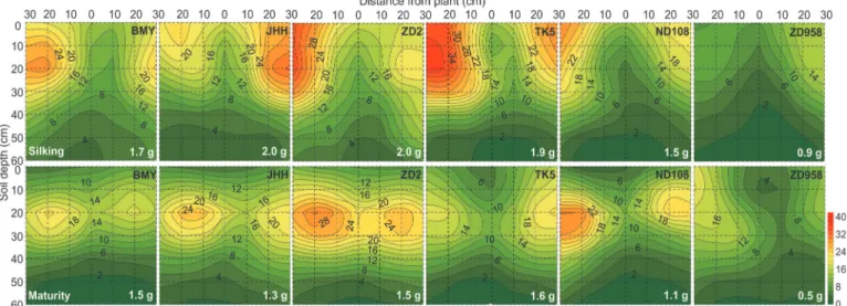 Fig 2. Two dimensional distribution of soil mineral nitrogen concentration (N min , mg/kg) of different maize varieties at silking (the upper six panels) and maturity (the bottom six panels) in 2009