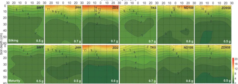 Fig 3. Two dimensional distribution of soil Olsen-P concentration (mg/kg) of different maize varieties at silking (the upper six panels) and maturity (the bottom six panels) in 2009